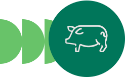 ícono de criadero