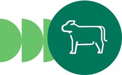 ícono de ganadería