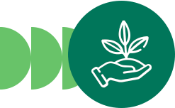 ícono de semillas