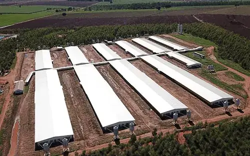 Imagen de criaderos