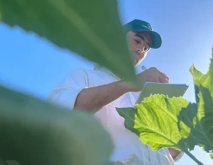 Agricultor trabajando