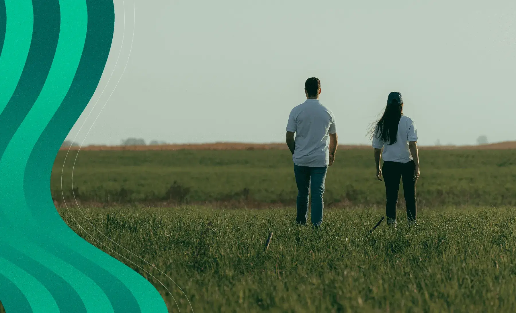 Video Programa Jóvenes Profesionales